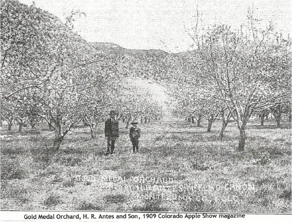 CBS Gold Medal Orchard Video