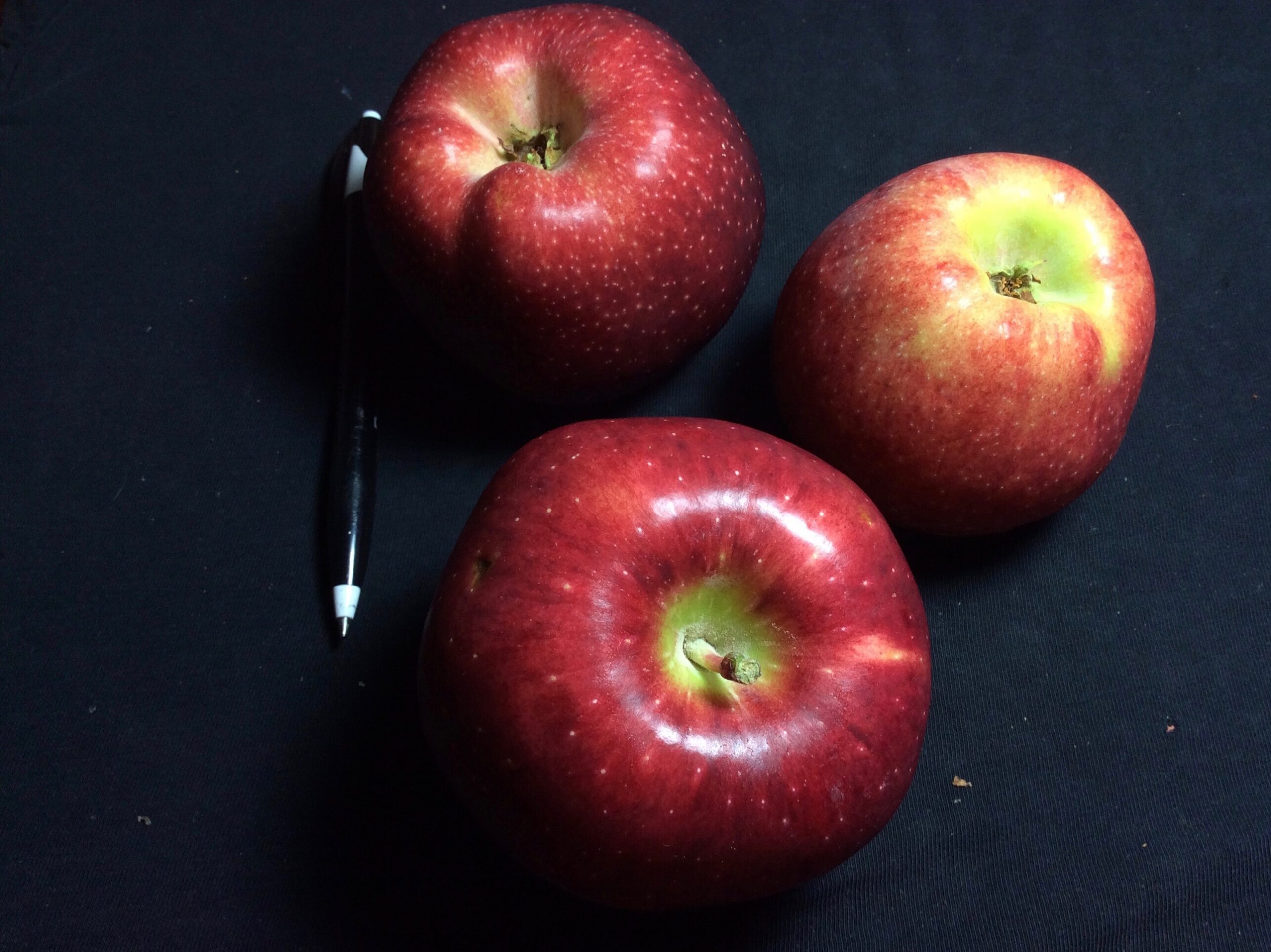 Delicious - original: photo credits: MORP Delicious - original: photo credits: MORP