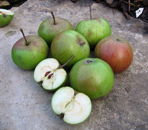 Vilberie photo credits: Real Cider Co, UK Vilberie