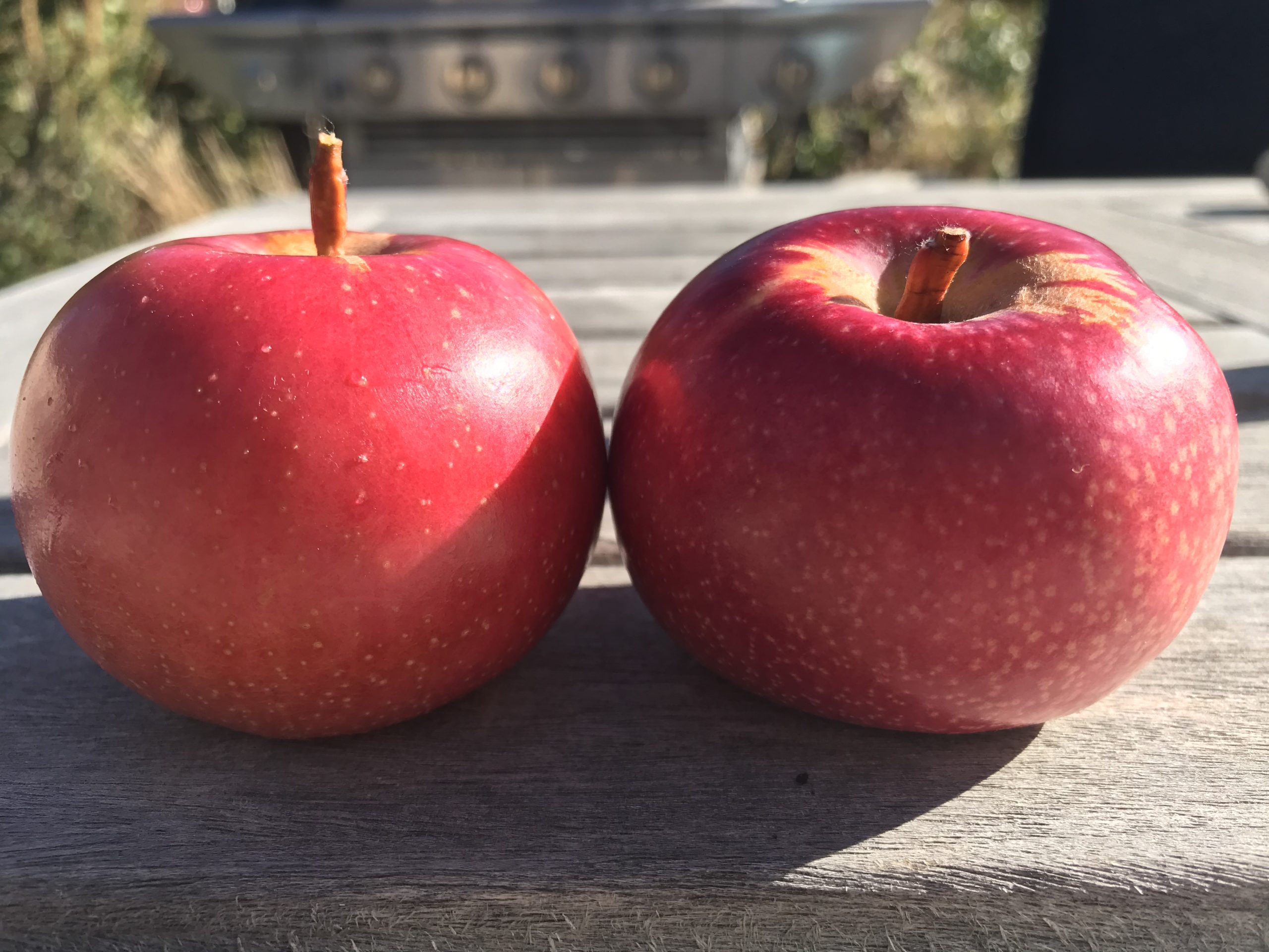 Designed by Apple in California(大) Hall-Keeper-scaled.jpg