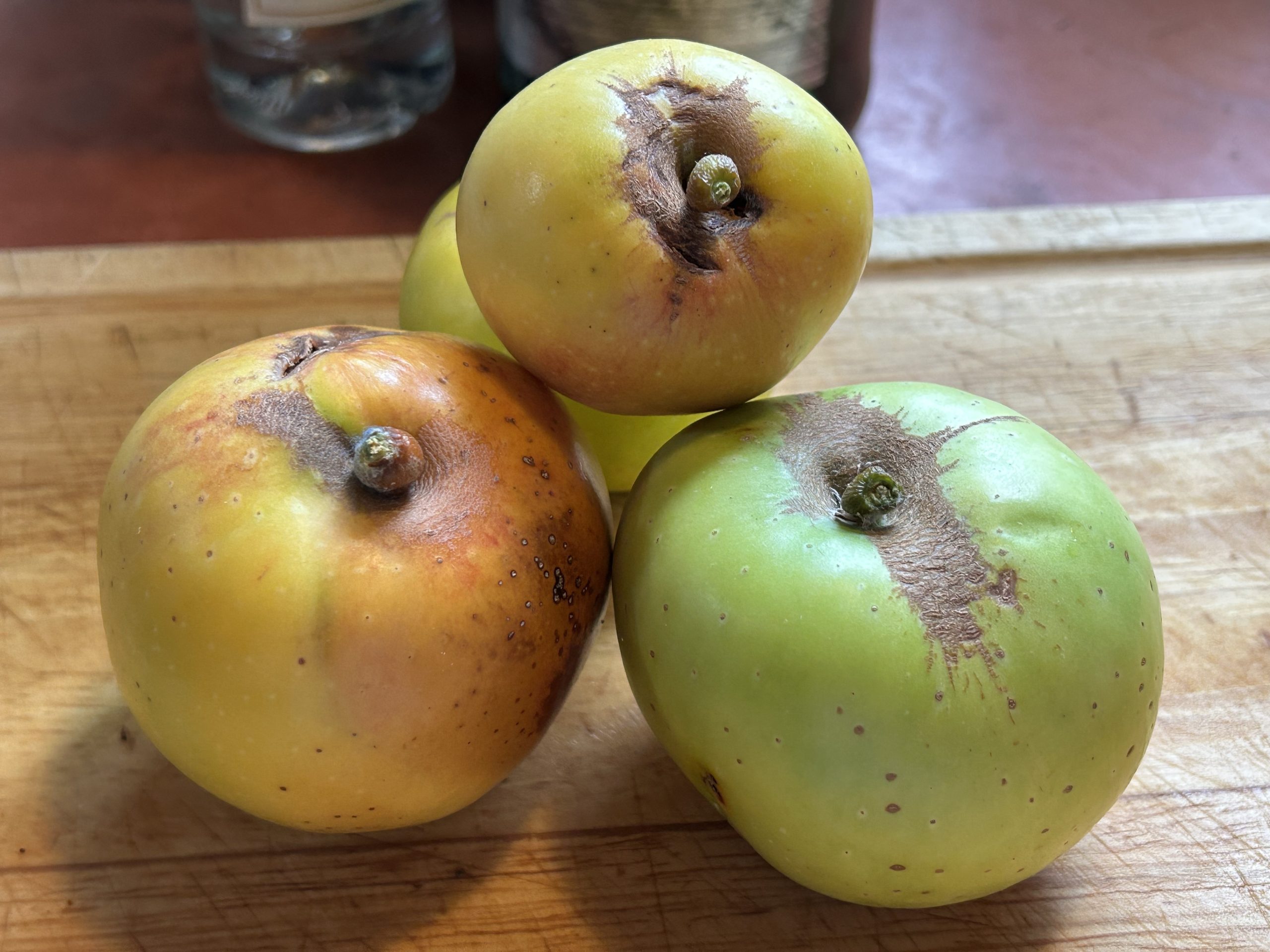 bold orange group aka Shrek photo of Shrek apple