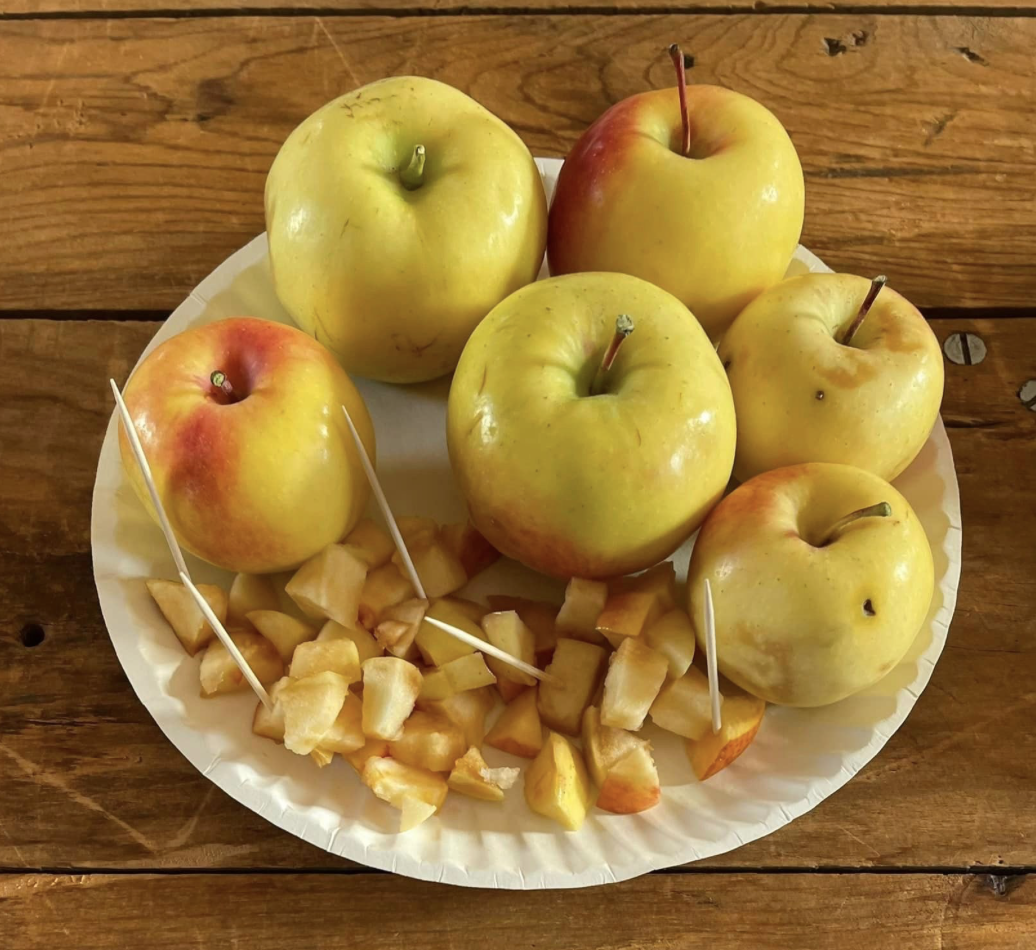 Wise Monkey photo of Wise Monkey