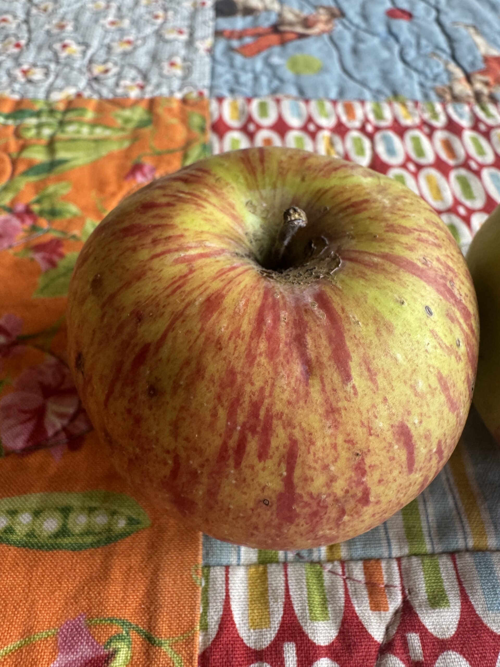 Apple様 Walbridge – Montezuma Orchard Restoration Project