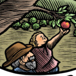 Orchard Conservation of the West recording