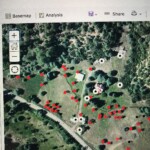 Heritage Orchard Survey Heritage Orchard Survey