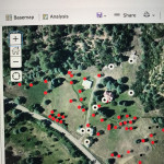 Heritage Orchard Survey Heritage Orchard Survey