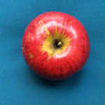 Ben Davis photo credits: MORP Ben Davis