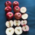 Crimson Beauty Crimson Beauty