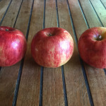 Gravenstein photo credits: MORP Gravenstein