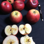 Jonathan photo credits: MORP Jonathan