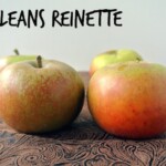 Orleans Reinette photo credits: Eat like None.com Orleans Reinette