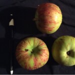 St. Lawrence photo of St. Lawrence