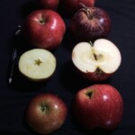 Thunderbolt/Hoover photo credits: MORP Thunderbolt