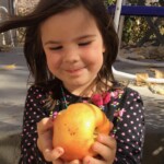 York Imperial photo credits: MORP York