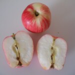 Chenango Strawberry photo credits: MORP Chenango Strawberry