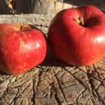 Six Finger Jack Six Finger Jack