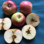 Wealthy photo credits: MORP Wealthy