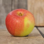 Willow Twig photo credits: Virginia Vintage Apples Willow Twig