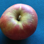 Dermen Winesap Dermen Winesap