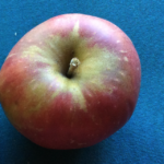 Dermen Winesap Dermen Winesap