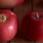 Goodhue Crab Goodhue Crab