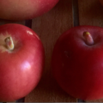 Goodhue Crab Goodhue Crab