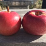 Hall Keeper Hall Keeper