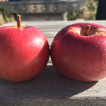 Hall Keeper Hall Keeper