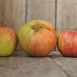 Medaille d Or Medaille d Or