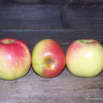 Ortley photo credits Eastman's Antique Apples Ortley