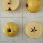 Sweet Alford Sweet Alford