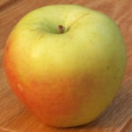 Sweet Bough Sweet Bough