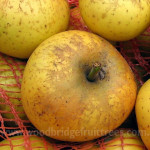 Sweet Coppin Sweet Coppin