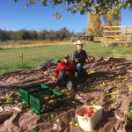 unknown apple ID# fret001 unknown apple ID# fret001