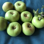 unknown apple unknown apple