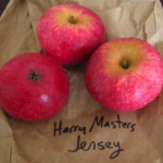 Harry Master's Jersey Harry Master's Jersey