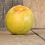 Pumpkin Sweet Pumpkin Sweet