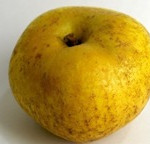 Reinette Canada Reinette Canada