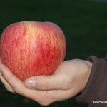 Spokane Beauty Spokane Beauty