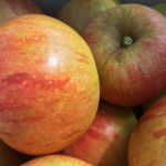 Orange Pippin Orange Pippin