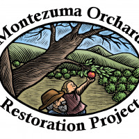 Annual Membership (renews automatically)