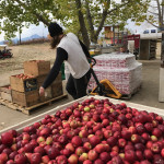 Apple Market Analysis Apple Market Analysis