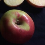 Colorado Sunrise Colorado Sunrise