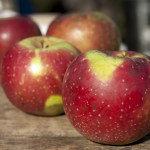 Fallawater Fallawater