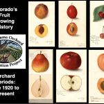 Colorado's Fruit Growing History