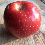 Bailey Sweet Bailey Sweet