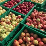 Harvest Lending Supplies Harvest Lending Supplies