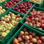 Harvest Lending Supplies Harvest Lending Supplies