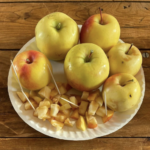 Wise Monkey photo of Wise Monkey